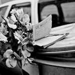 P.T. čtenářům s láskou ...