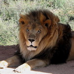 levica v jednom parku :)