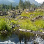 Vysoke Tatry