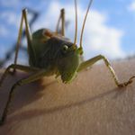 kdo mi to leží na břichu...