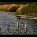 Podvečer u rybníka