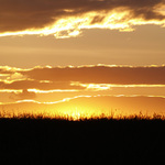 africká savana u nás?