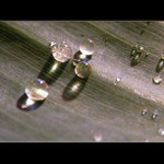 Zahrajem si kuličky?