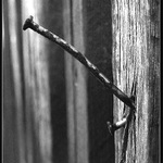 Jako 2 hřebíky v plotě