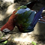 Kurňa já mám, ale hlad :)