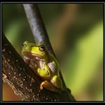 ...držím Ti palce...