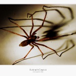 Arachnofobie