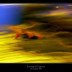 Acuario