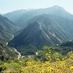 Sierra Nevada Kings Canyon