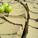 Traja bratia a matička ZEM.