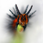 .... na konci své cesty ....