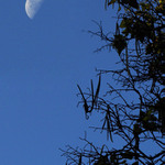 měsíc na nebi vysokém