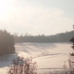 Bude zima, bude mráz