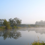 Ranni mlha u rybnika