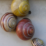 A kdo má hezčí domeček?