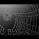 ...orosena rannou hmlou...