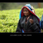 cestování SRI LANKA