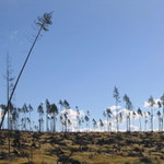 Polom vo Vysokých Tatrách