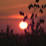 západ nad mořem ovsa