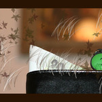 Zeleny muzicek sniva .....o peniazkoch