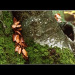 Vzpomínky na ... I.