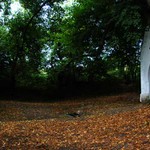 U studánky
