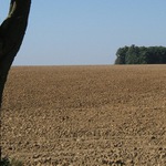 Podzim
