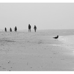 Konečně odcházejí