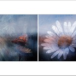 *** Letní variace ***