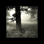 Návraty do veltruského parku XX