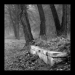 Návraty do veltruského parku XXI