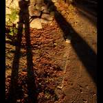 zamyslenie nad hrbou kamenia