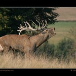 Pojďte si hrát ! :-)