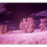 Rozevláté spektrum