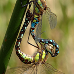 Jen si tak viset....