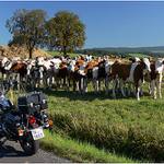 Jéééé  holky  motorkář  ...