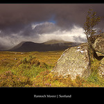 Rannoch Moore  | Scotland