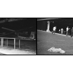 Slavnostní vyhlášení