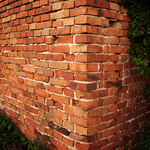 Zeď