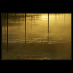 Tyčky, voda, sluníčko, mlha...