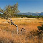 babí léto v Krkonoších