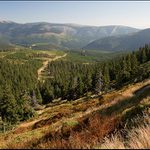 babí léto v Krkonoších II