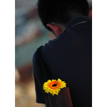 = yellow =