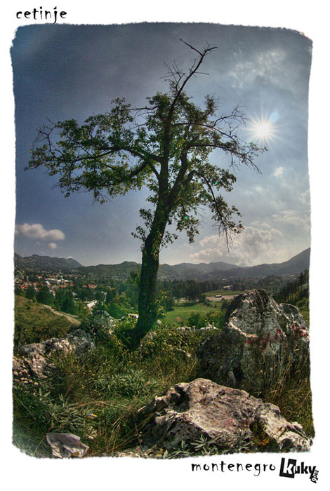 dovolenková VII.