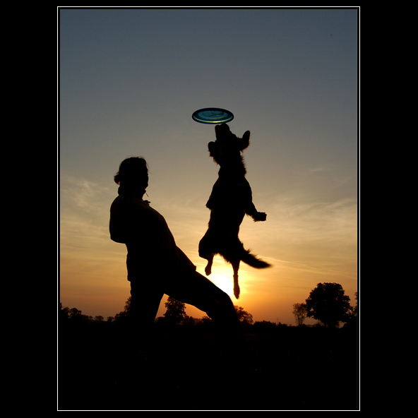 Dogfrisbee I.