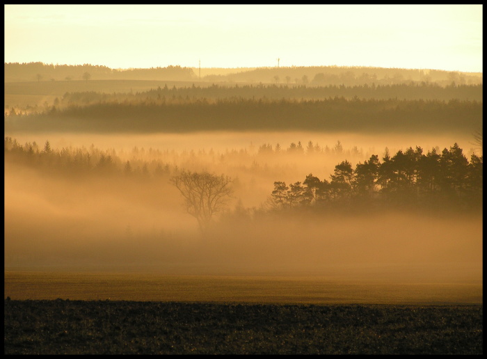 Ranní mlha II