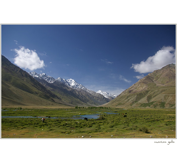 Shandur