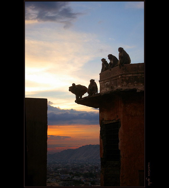 Každodenní představení