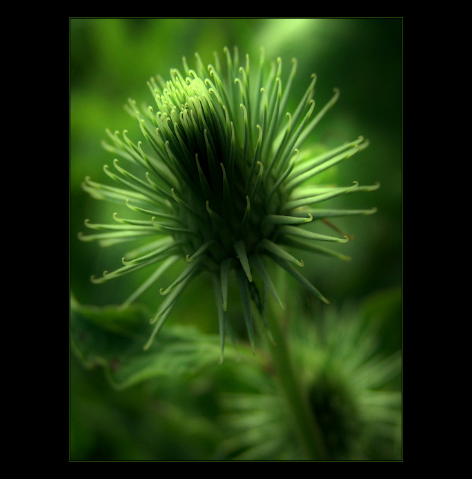 - green influence -