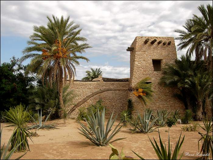 únAva
